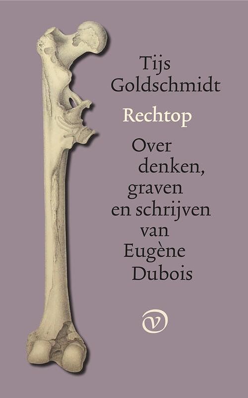 Foto van Rechtop - tijs goldschmidt - ebook (9789028220546)