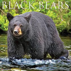 Foto van Black bears kalender 2023