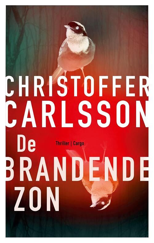 Foto van De brandende zon - christoffer carlsson - ebook (9789403191614)