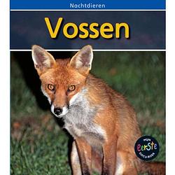 Foto van Vossen - nachtdieren