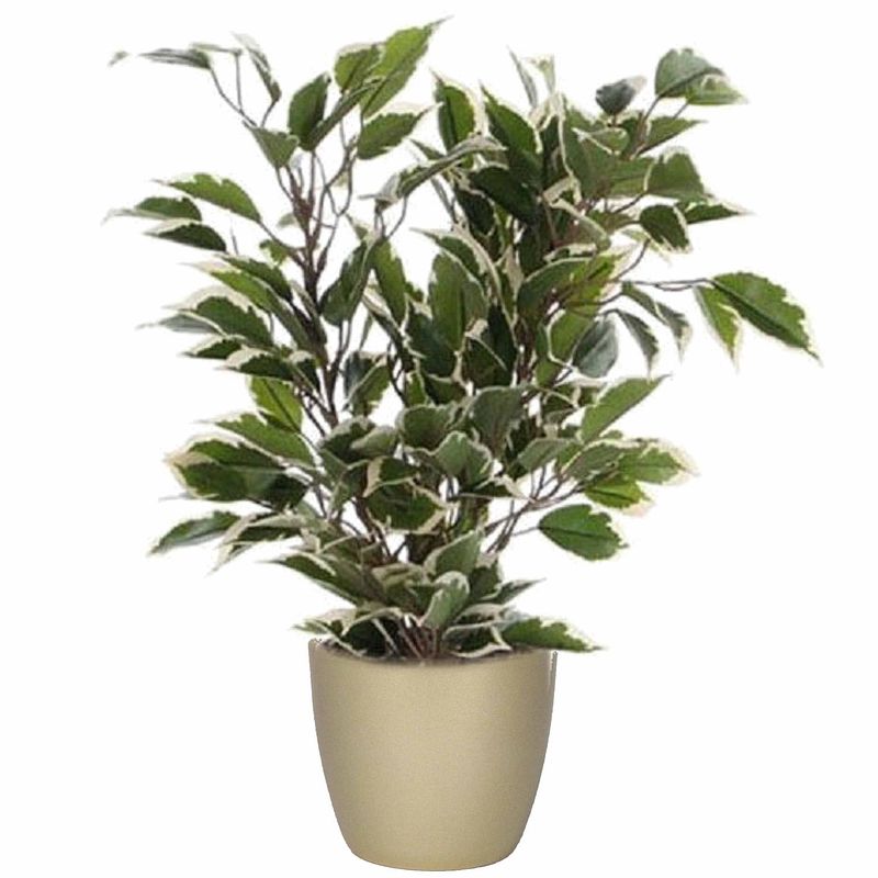 Foto van Groen/witte ficus kunstplant 40 cm met plantenpot parelgoud d13.5 en h12.5 cm - kunstplanten