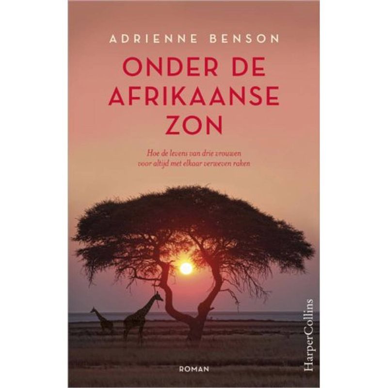 Foto van Onder de afrikaanse zon