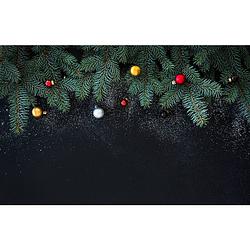 Foto van Inductiebeschermer - kersttakken - 58.3x51.3 cm