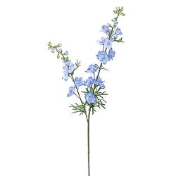 Foto van Delphinium tak l.blue