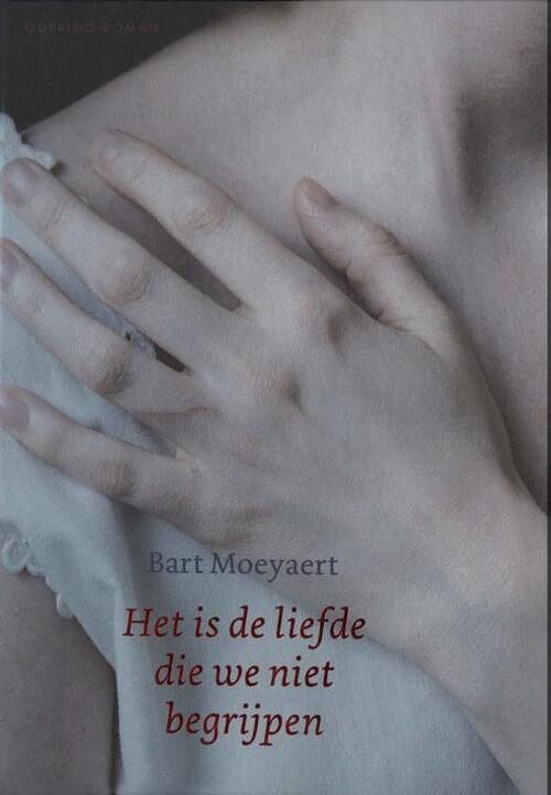 Foto van Het is de liefde die we niet begrijpen - bart moeyaert - ebook (9789021452128)