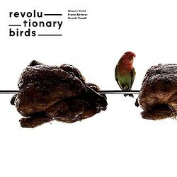 Foto van Revolutionary birds - cd (3341348603148)