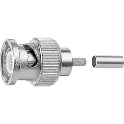 Foto van Telegärtner j01002l1352z j01002l1352z bnc-connector stekker, recht 75 ω 1 stuk(s)