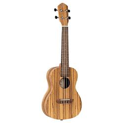 Foto van Ortega rfu11z timber series natural concert ukelele met gigbag