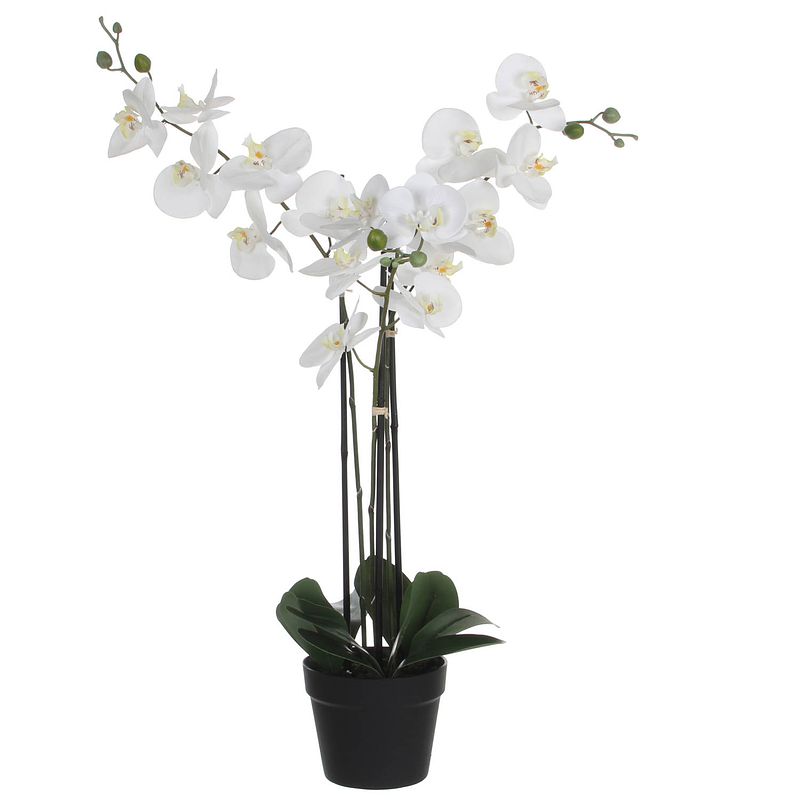 Foto van Mica decorations orchidee bloem kunstplant - wit - h75 x b50 cm - kunstplanten