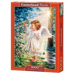 Foto van Castorland legpuzzel an angel's touch 1000 stukjes