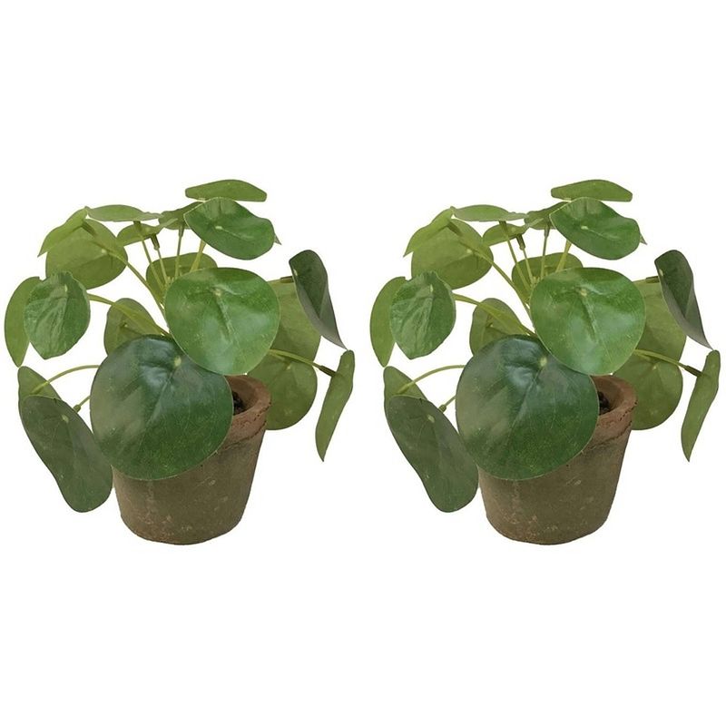 Foto van 2x kunstplanten pilea groen in pot 13 cm - kunstplanten