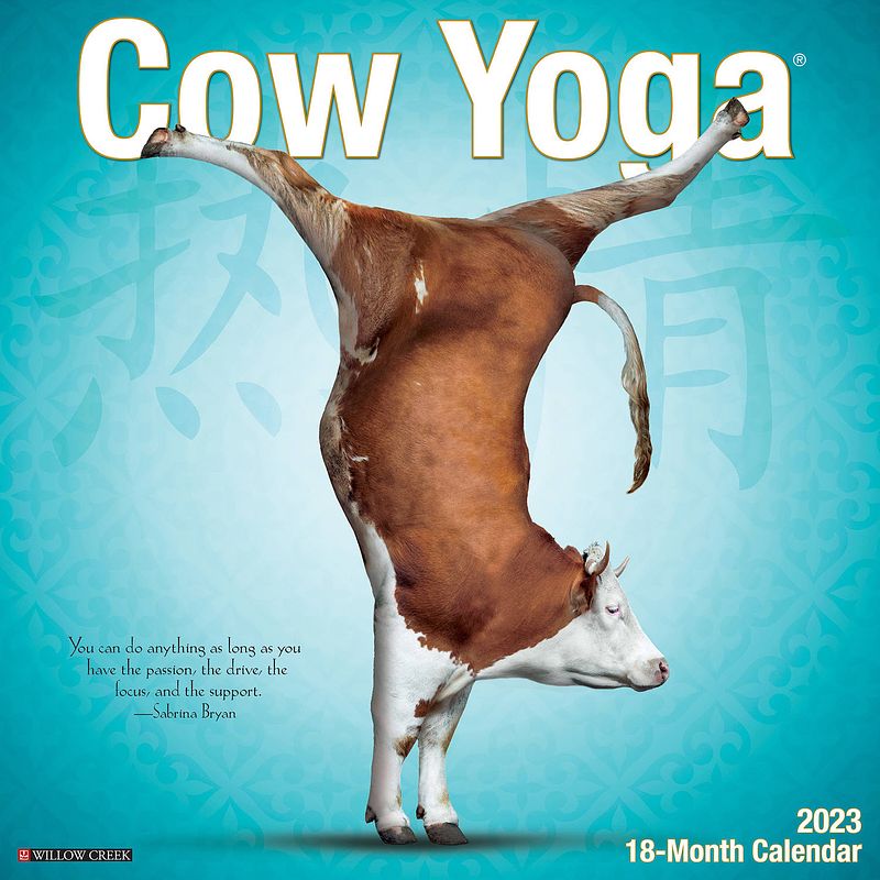 Foto van Cow yoga kalender 2023