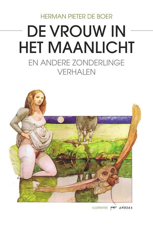 Foto van De vrouw in het maanlicht - herman pieter de boer - ebook (9789463450324)