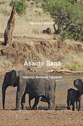 Foto van Asante sana - h. stijnen - paperback (9789402100624)