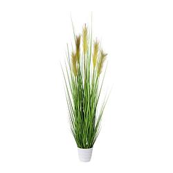 Foto van Kopu® kunstplant pampusgras 110 cm - 5 pluimen - in witte pot