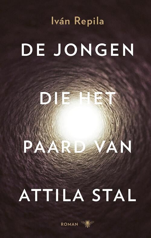 Foto van De jongen die het paard van attila stal - iván repila - ebook (9789023495758)