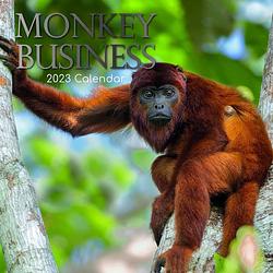 Foto van Monkey business kalender 2023