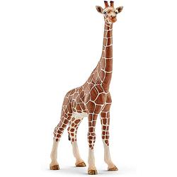 Foto van Schleich giraffe wijfje 14750