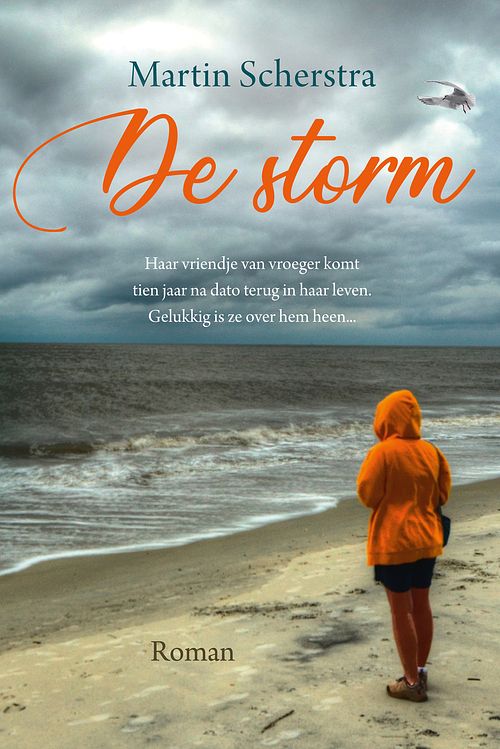 Foto van De storm - martin scherstra - ebook (9789020537178)