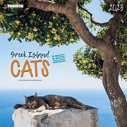 Foto van Greek island cats kalender 2023