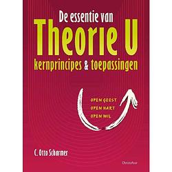 Foto van De essentie van theorie u