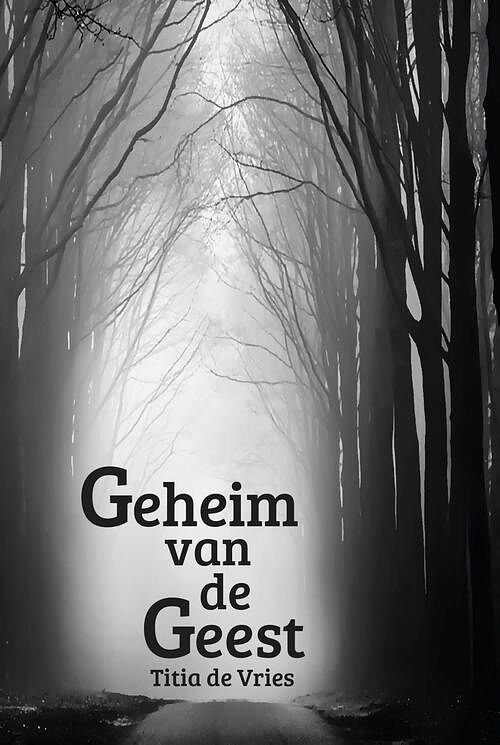 Foto van Geheim van de geest - titia de vries - ebook (9789493210141)