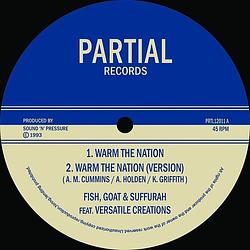 Foto van Warm the nation - 12 inch vinyl;12 inch vinyl (2090405499804)