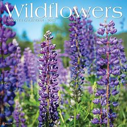 Foto van Wildflowers kalender 2023