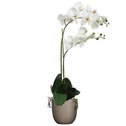 Foto van Orchidee kunstplant wit - 62 cm - inclusief bloempot taupe mat - kunstplanten