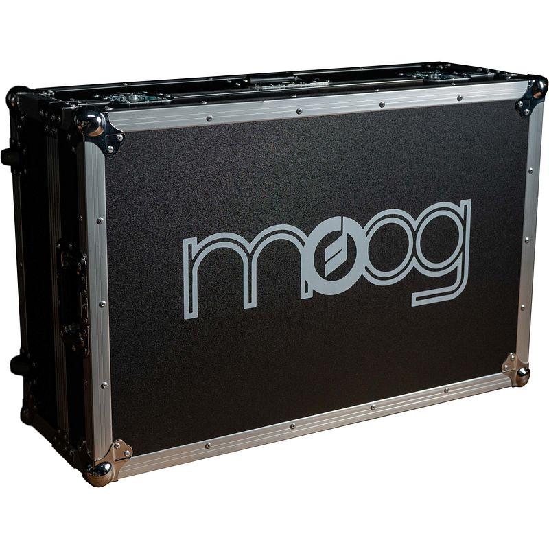 Foto van Moog model d ata road case