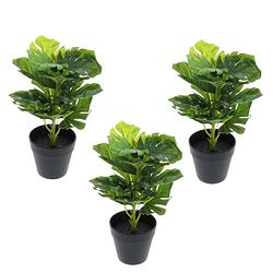 Foto van Greendream set van 3 mini monstera - gatenplant - kunstplanten 30 cm