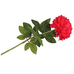 Foto van Dk design kunstbloem pioenroos - rood - zijde - 71 cm - kunststof steel - decoratie bloemen - kunstbloemen