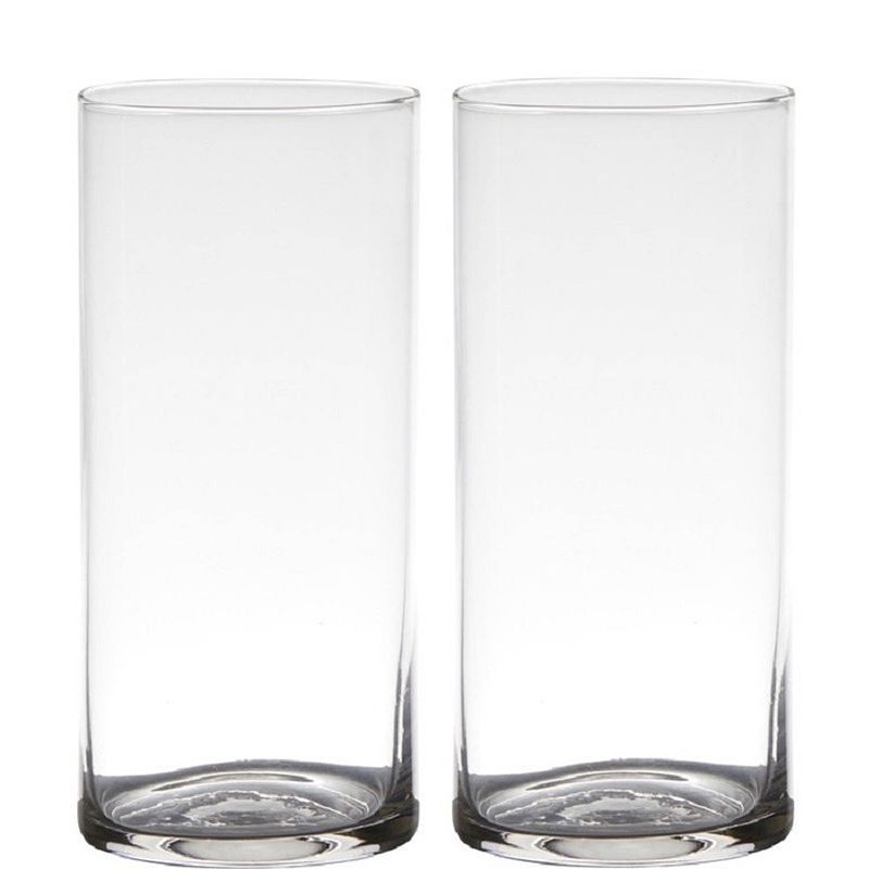 Foto van Set van 2x stuks transparante home-basics cylinder vorm vaas/vazen van glas 19 x 9 cm - vazen