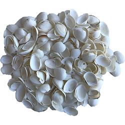 Foto van Decoratie hobby schelpen parelmoer/wit 250 gram - hobbydecoratieobject