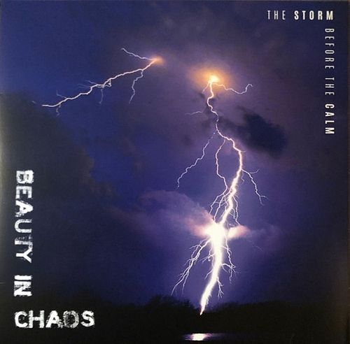 Foto van The storm before the calm - cd (0860000197083)