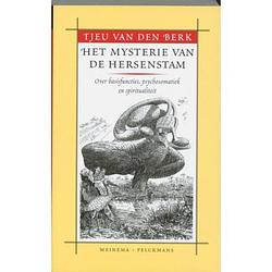 Foto van Het mysterie van de hersenstam