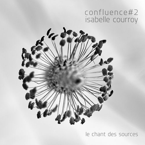 Foto van Confluence #2 - le chant des sources - cd (3341348603698)