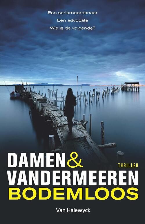 Foto van Bodemloos - damen & vandermeeren - ebook (9789463831208)