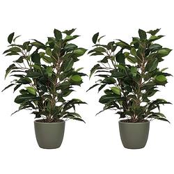 Foto van 2x stuks groene ficus kunstplant 40 cm met plantenpot dennengroen d13.5 en h12.5 cm - kunstplanten