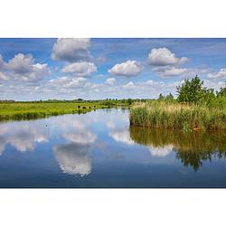 Foto van Tuinschilderij water wolk 50x70 cm