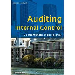 Foto van Auditing internal control - controlling & auditing