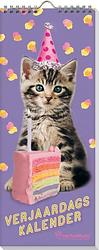 Foto van Verjaardagskalender rachael hale - kittens - paperback (9789464326178)