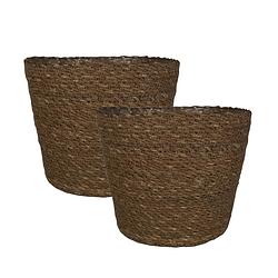 Foto van Set van 2x stuks plantenpot/bloempot van jute/zeegras diameter 22 cm en hoogte 19 cm camel bruin - plantenpotten