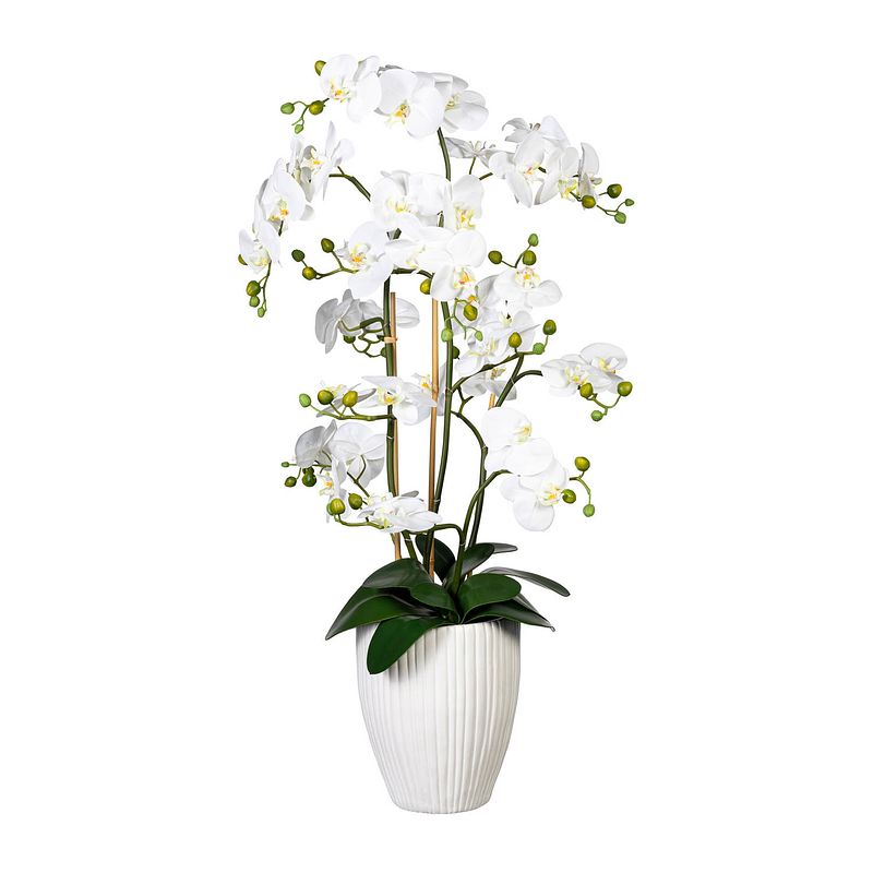 Foto van Kopu® kunstbloem orchidee 110 cm wit bloempot rond - phalaenopsis