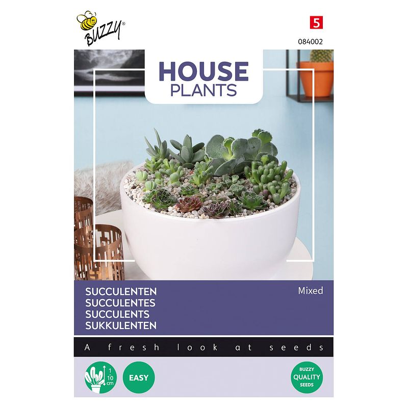 Foto van Buzzy - house plants mixed succulents, vetplanten