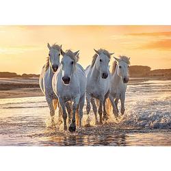 Foto van Dieren kinderkamer poster kudde witte paarden in de zee 84 x 59 cm - posters