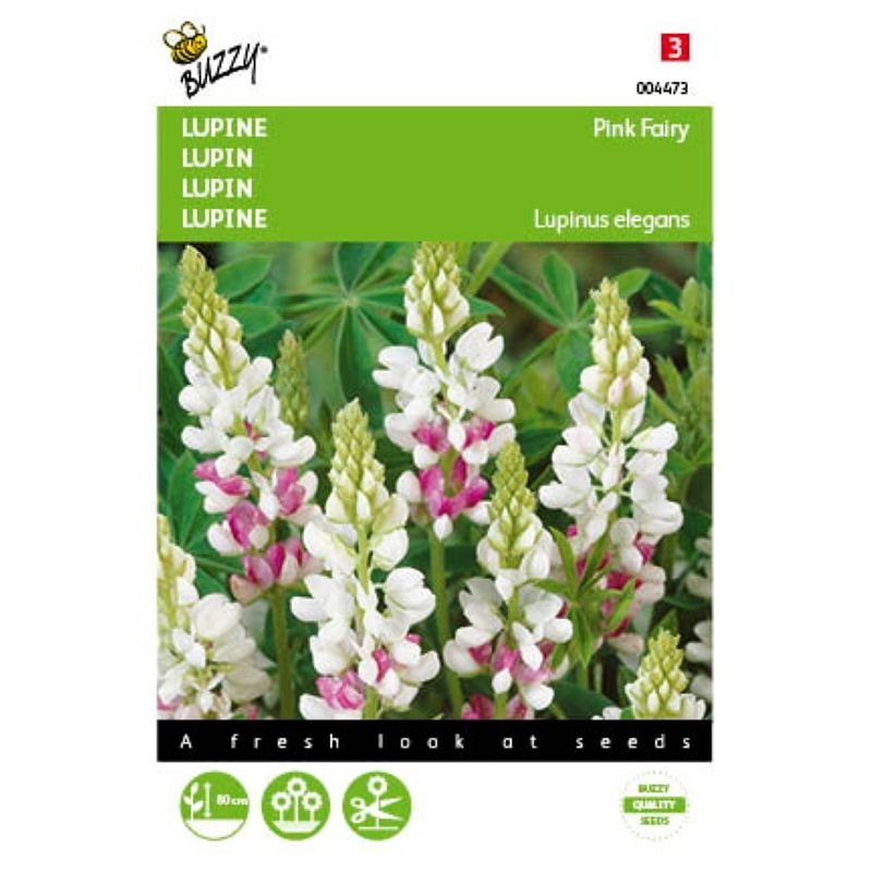 Foto van 5 stuks lupinus rose laag pink ferry tuinplus