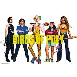 Foto van Gbeye birds of prey group poster 91,5x61cm