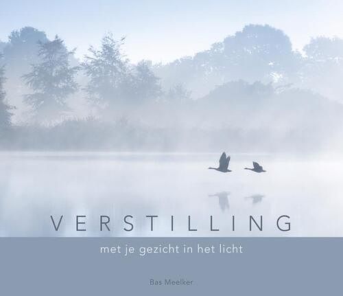 Foto van Verstilling - bas meelker - hardcover (9789493198180)
