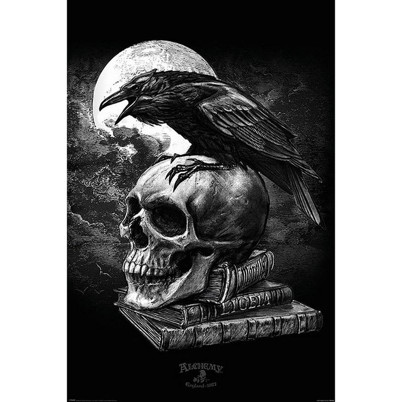 Foto van Pyramid alchemy poes raven poster 61x91,5cm